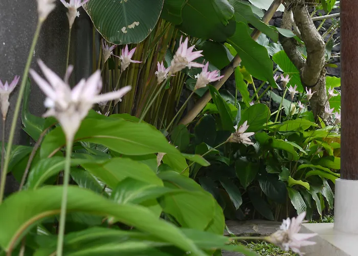 Rumah Dadong Villa Ubud
