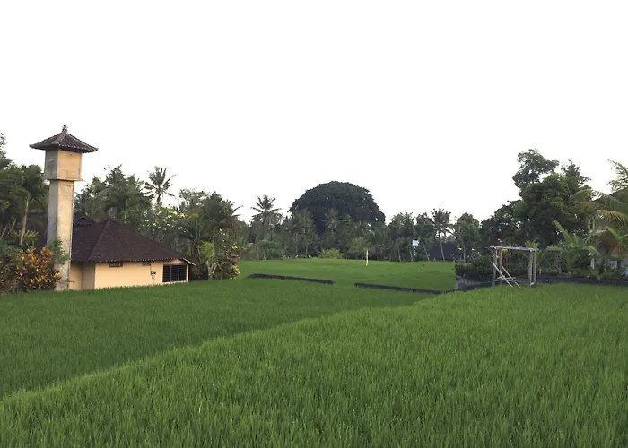 Rumah Dadong Villa Ubud