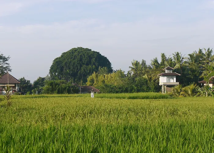 Villa Rumah Dadong Ubud