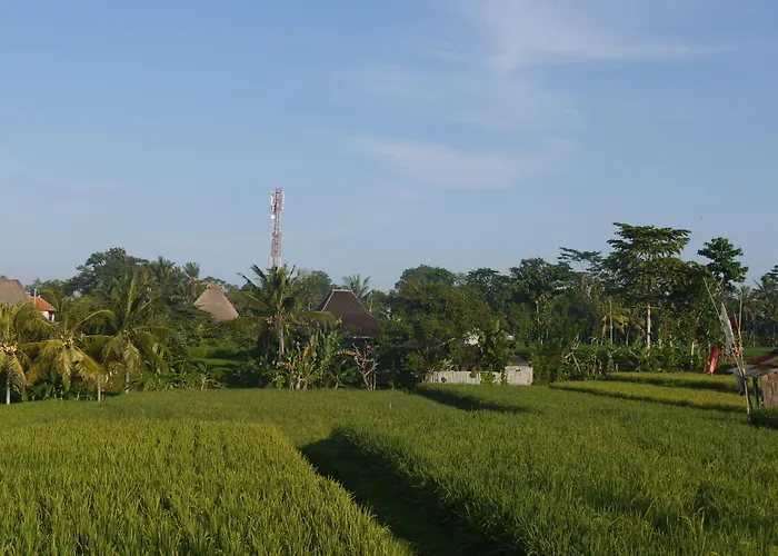 Rumah Dadong * Ubud