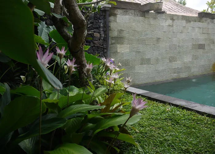 Rumah Dadong Ubud
